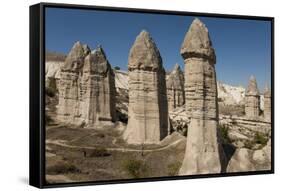 Natural Pinnacles in Volcanic Ash, Zemi Valley, Goreme, Cappadocia, Anatolia, Turkey Minor, Eurasia-Tony Waltham-Framed Stretched Canvas