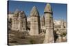 Natural Pinnacles in Volcanic Ash, Zemi Valley, Goreme, Cappadocia, Anatolia, Turkey Minor, Eurasia-Tony Waltham-Stretched Canvas