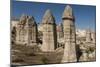 Natural Pinnacles in Volcanic Ash, Zemi Valley, Goreme, Cappadocia, Anatolia, Turkey Minor, Eurasia-Tony Waltham-Mounted Photographic Print