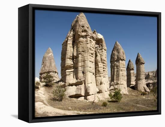 Natural Pinnacles in Volcanic Ash, Zemi Valley, Goreme, Cappadocia, Anatolia, Turkey Minor, Eurasia-Tony Waltham-Framed Stretched Canvas