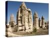 Natural Pinnacles in Volcanic Ash, Zemi Valley, Goreme, Cappadocia, Anatolia, Turkey Minor, Eurasia-Tony Waltham-Stretched Canvas