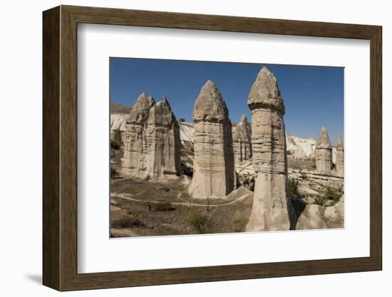 Natural Pinnacles in Volcanic Ash, Zemi Valley, Goreme, Cappadocia, Anatolia, Turkey Minor, Eurasia-Tony Waltham-Framed Photographic Print