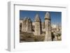 Natural Pinnacles in Volcanic Ash, Zemi Valley, Goreme, Cappadocia, Anatolia, Turkey Minor, Eurasia-Tony Waltham-Framed Photographic Print