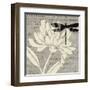 Natural Prints II-Daphne Brissonnet-Framed Art Print