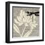 Natural Prints II-Daphne Brissonnet-Framed Art Print