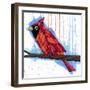 Natural Redhead-Ric Stultz-Framed Giclee Print