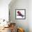 Natural Redhead-Ric Stultz-Framed Giclee Print displayed on a wall