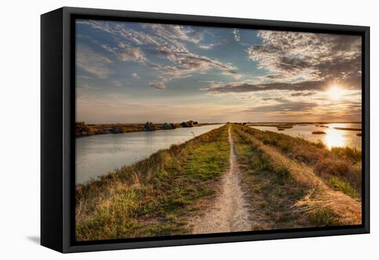 Natural Reserve Valli Di Comacchio in Italy-ermess-Framed Stretched Canvas