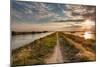 Natural Reserve Valli Di Comacchio in Italy-ermess-Mounted Photographic Print