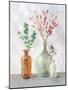 Natural Riches II Clear Vase-Danhui Nai-Mounted Art Print