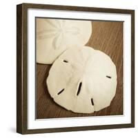 Natural Sand Dollars-Marlana Semenza-Framed Art Print