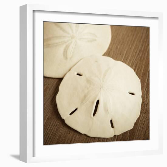 Natural Sand Dollars-Marlana Semenza-Framed Art Print