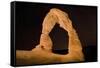Natural sandstone arch in desert, at night with starry sky, Delicate Arch, Arches-Bob Gibbons-Framed Stretched Canvas