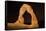 Natural sandstone arch in desert, at night with starry sky, Delicate Arch, Arches-Bob Gibbons-Framed Stretched Canvas