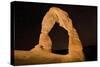 Natural sandstone arch in desert, at night with starry sky, Delicate Arch, Arches-Bob Gibbons-Stretched Canvas