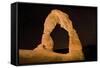 Natural sandstone arch in desert, at night with starry sky, Delicate Arch, Arches-Bob Gibbons-Framed Stretched Canvas