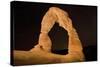 Natural sandstone arch in desert, at night with starry sky, Delicate Arch, Arches-Bob Gibbons-Stretched Canvas