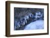 Natural Sculptural Ice Forms in the Mountain Brook-Klaus Scholz-Framed Photographic Print