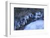 Natural Sculptural Ice Forms in the Mountain Brook-Klaus Scholz-Framed Photographic Print