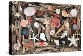 Natural Seashells and Driftwood from the Seashore-marilyna-Stretched Canvas
