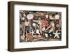 Natural Seashells and Driftwood from the Seashore-marilyna-Framed Photographic Print