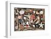 Natural Seashells and Driftwood from the Seashore-marilyna-Framed Photographic Print