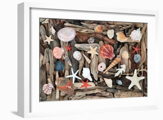 Natural Seashells and Driftwood from the Seashore-marilyna-Framed Photographic Print