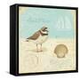 Natural Seashore I-Daphne Brissonnet-Framed Stretched Canvas