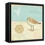 Natural Seashore II-Daphne Brissonnet-Framed Stretched Canvas