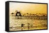 Natural Shadows - In the Style of Oil Painting-Philippe Hugonnard-Framed Stretched Canvas