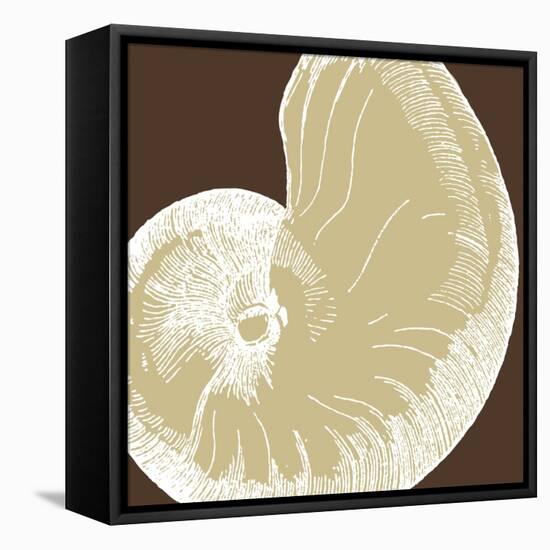 Natural Shell II-N. Harbick-Framed Stretched Canvas