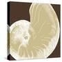 Natural Shell II-N. Harbick-Stretched Canvas