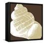 Natural Shell III-N. Harbick-Framed Stretched Canvas