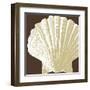 Natural Shell IV-N. Harbick-Framed Art Print