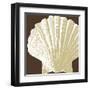 Natural Shell IV-N. Harbick-Framed Art Print