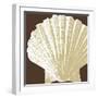 Natural Shell IV-N. Harbick-Framed Art Print