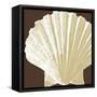 Natural Shell IV-N. Harbick-Framed Stretched Canvas