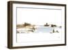 Natural Shoreline II-Ethan Harper-Framed Art Print