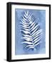 Natural Silhouette A-Pamela Varacek-Framed Art Print