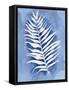 Natural Silhouette A-Pamela Varacek-Framed Stretched Canvas