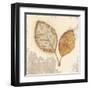 Natural Simplicity-James Wiens-Framed Art Print