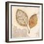 Natural Simplicity-James Wiens-Framed Art Print