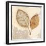 Natural Simplicity-James Wiens-Framed Art Print