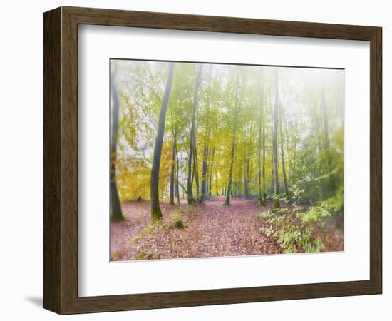 Natural Song-Viviane Fedieu Daniel-Framed Photographic Print