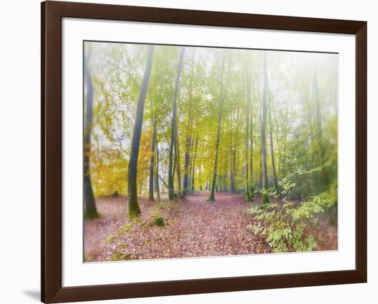 Natural Song-Viviane Fedieu Daniel-Framed Photographic Print