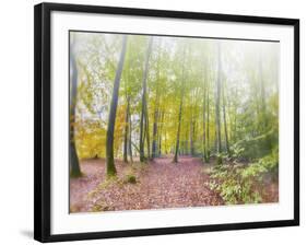 Natural Song-Viviane Fedieu Daniel-Framed Photographic Print