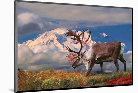 Natural Splendors Alaska II-null-Mounted Art Print