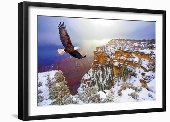 Natural Splendors Alaska V-null-Framed Art Print