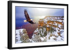 Natural Splendors Alaska V-null-Framed Art Print