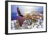 Natural Splendors Alaska V-null-Framed Art Print